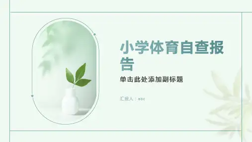 小学体育自查报告范文篇