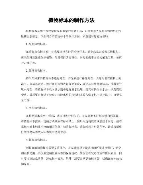 植物标本的制作方法