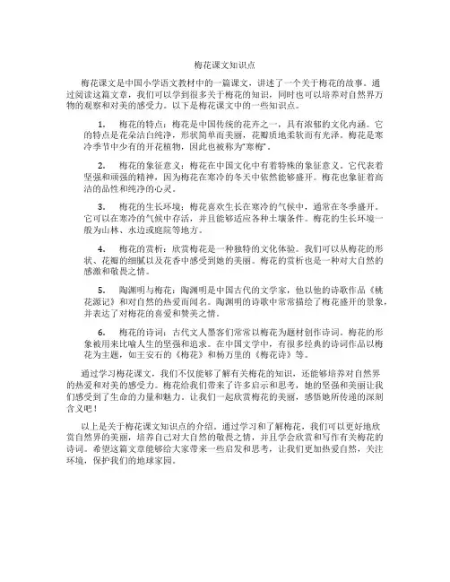 梅花课文知识点