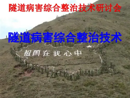 隧道病害综合整治技术研讨