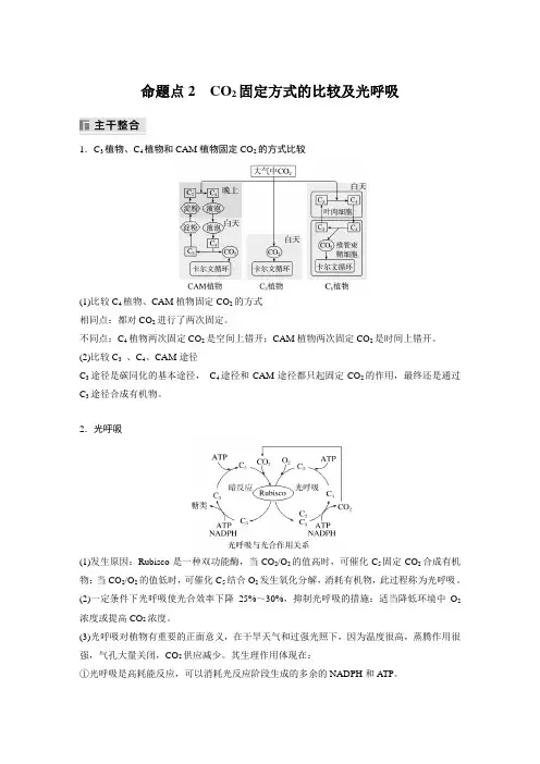 2024届高中生物二轮复习讲义 第一篇 主题一 专题(四) 命题点2 CO2固定方式的比较及光呼吸