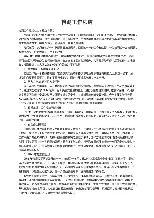检测工作总结范文（精选5篇）