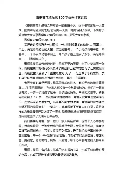 青铜葵花读后感800字优秀作文五篇