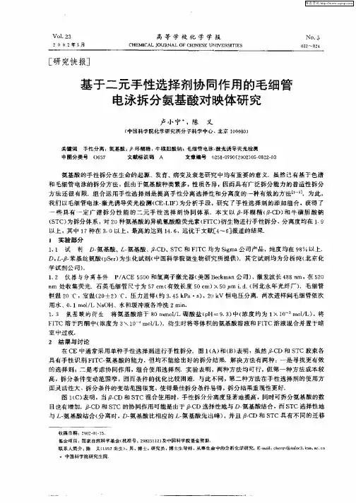 基于二元手性选择剂协同作用的毛细管电泳拆分氨基酸对映体研究