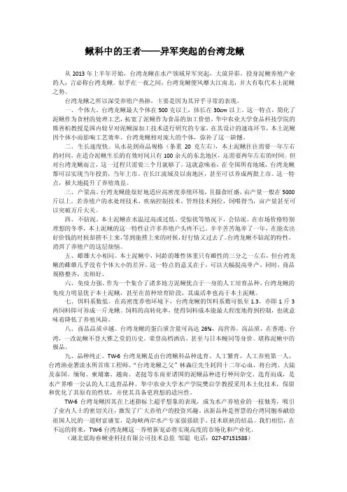 -台湾龙鳅——精选推荐