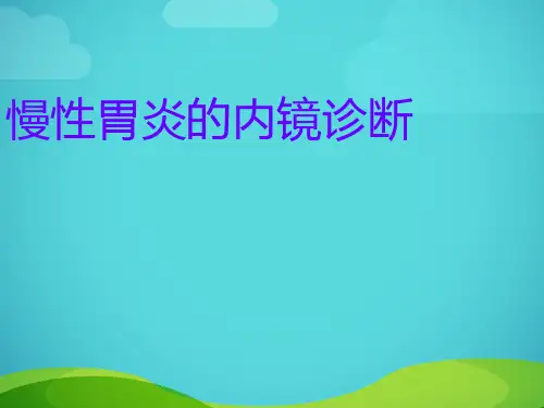 慢性胃炎的内镜诊断  ppt课件