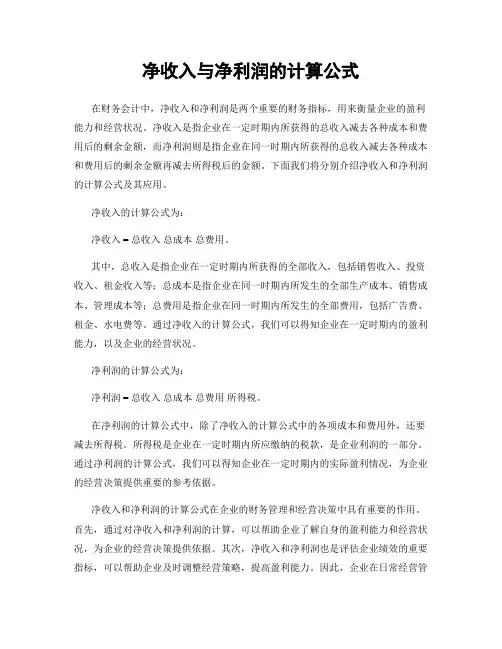 净收入与净利润的计算公式