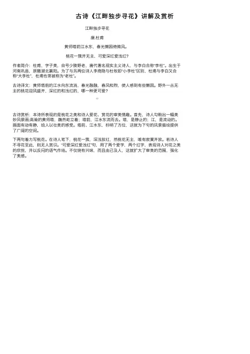 古诗《江畔独步寻花》讲解及赏析