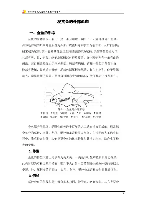 观赏鱼的外部形态.