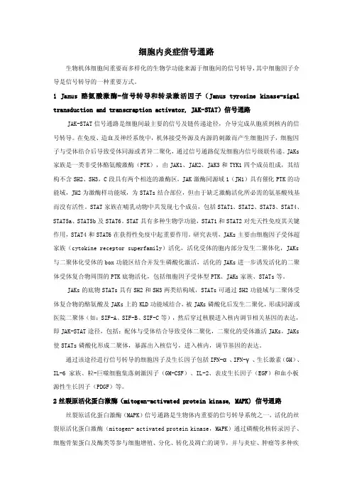 细胞内炎症信号通路