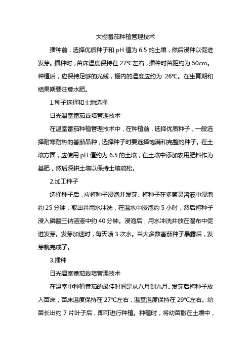 大棚西红柿种植与管理技术