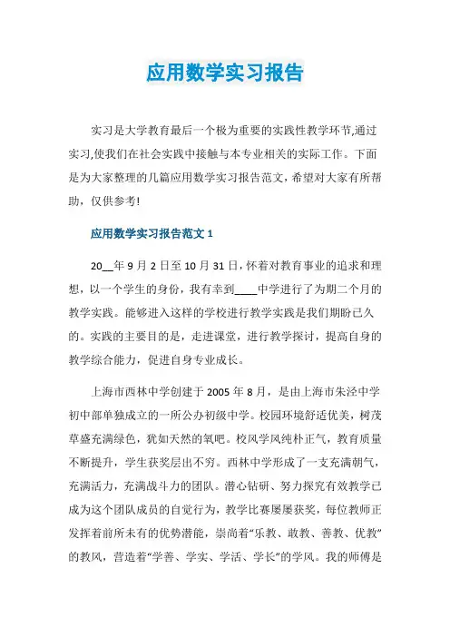 应用数学实习报告