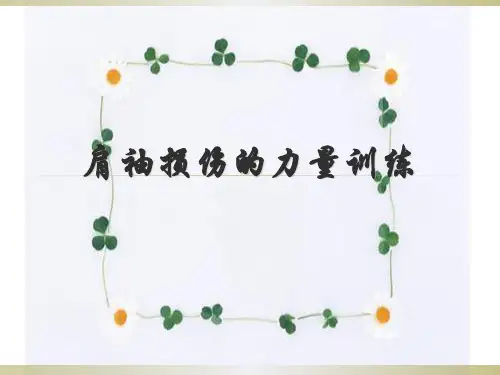 肩袖损伤的康复PPT课件精选全文