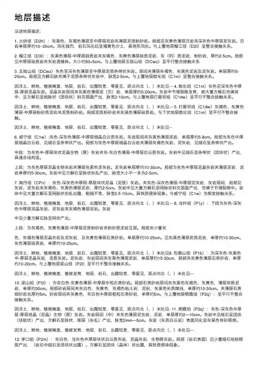 地层描述——精选推荐