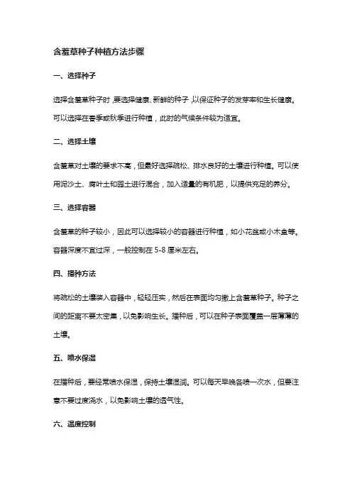 含羞草种子种植方法步骤