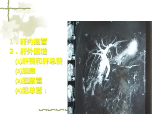 常见胆道疾病概述