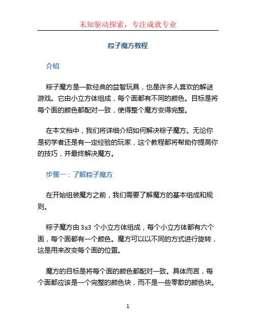粽子魔方教程