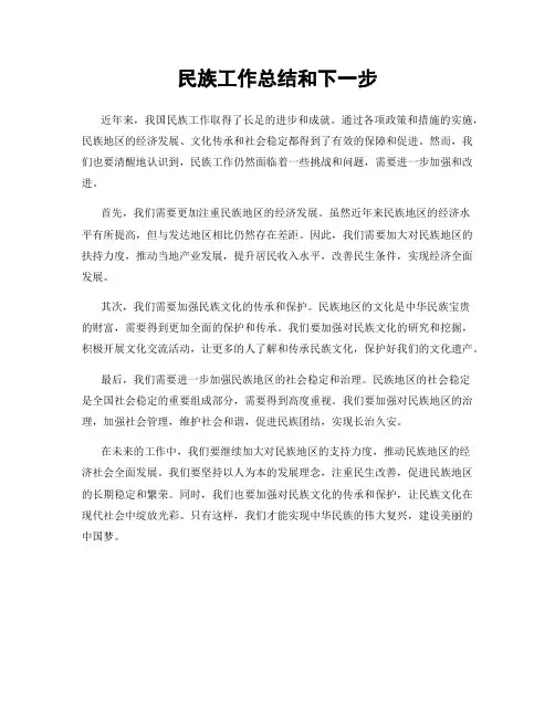 民族工作总结和下一步