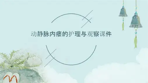动静脉内瘘的护理与观察课件