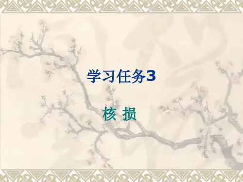 核损