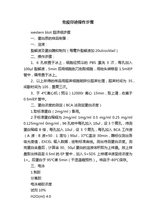 免疫印迹操作步骤