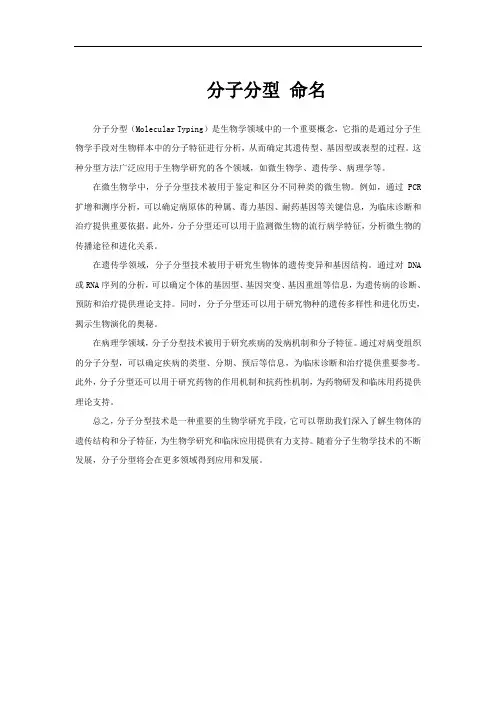 分子分型 命名