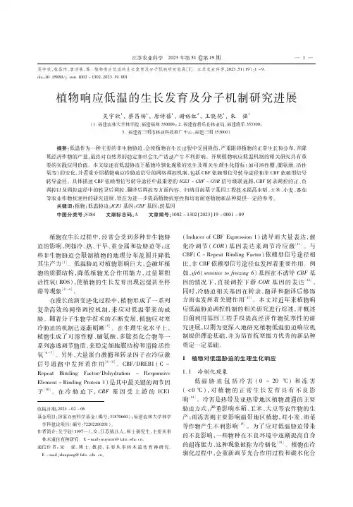 植物响应低温的生长发育及分子机制研究进展