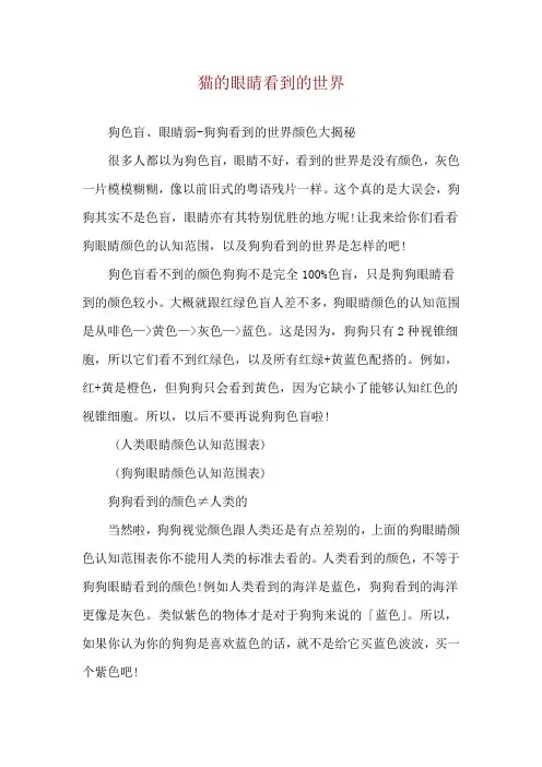 猫的眼睛看到的世界