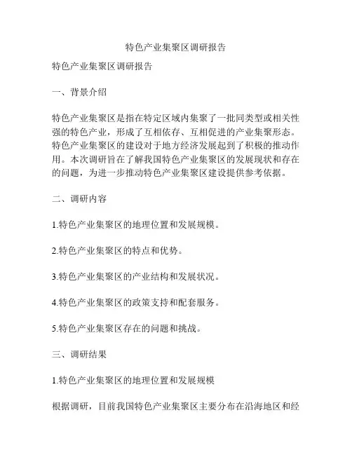 特色产业集聚区调研报告