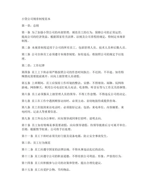 小贷公司规章制度范本