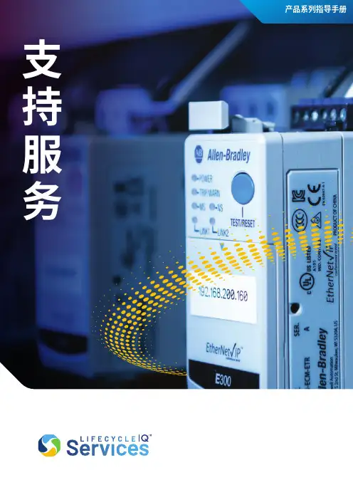 罗克韦尔自动化产品系列指导手册说明书