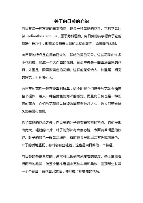 关于向日葵的介绍
