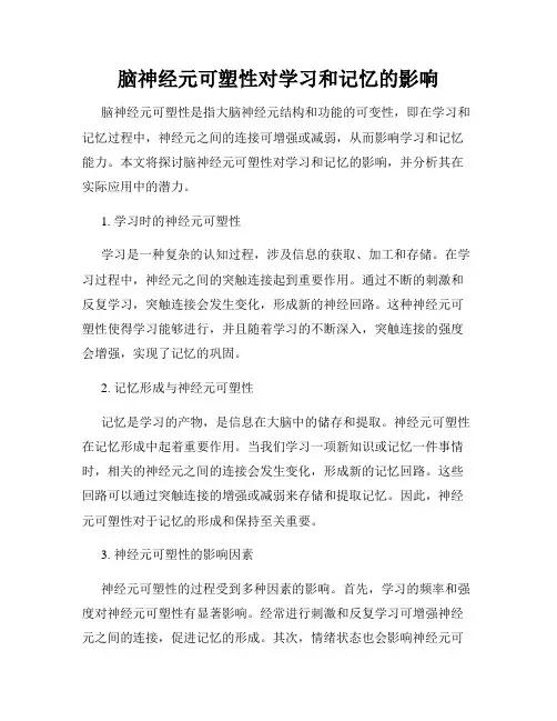 脑神经元可塑性对学习和记忆的影响