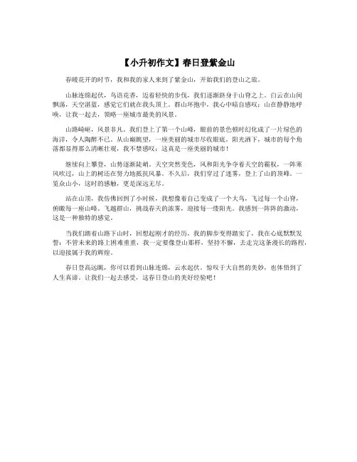 【小升初作文】春日登紫金山