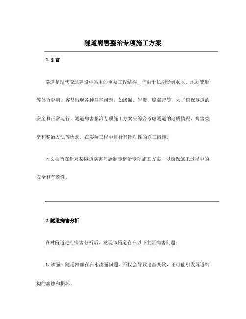 隧道病害整治专项施工方案