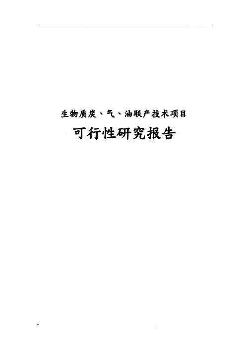 生物质炭、气、油联产技术可行性研究报告