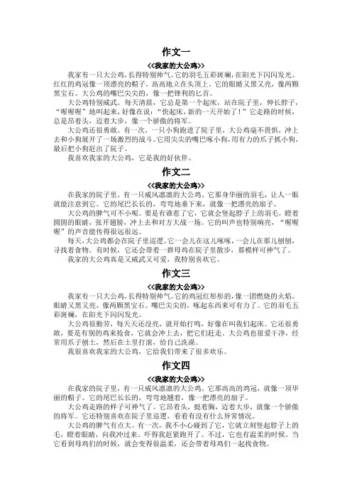 我家的大公鸡300字作文
