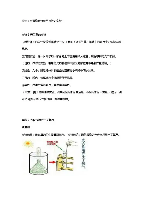 初中生物实验探究---光合作用