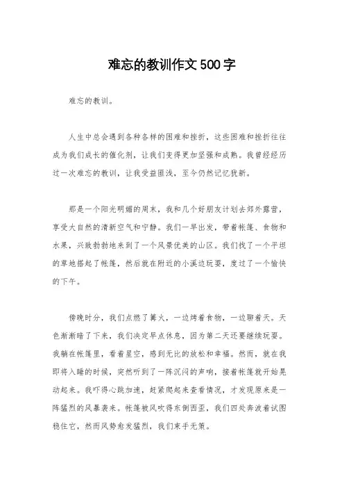 难忘的教训作文500字