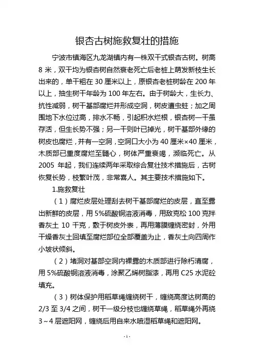 银杏古树施救复壮的措施