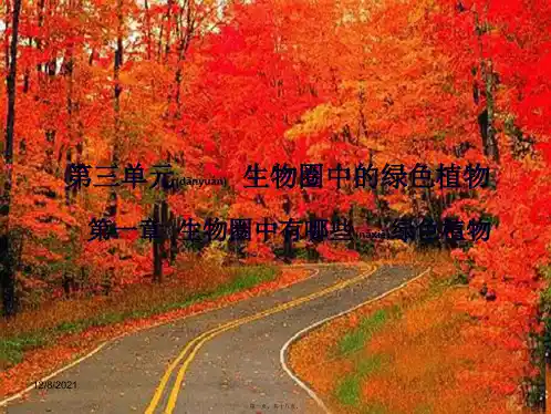 中学中考生物 第三单元 第一章 生物圈中有哪些绿色植物复习课件 