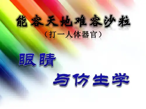 《眼睛与仿生学》PPT课件