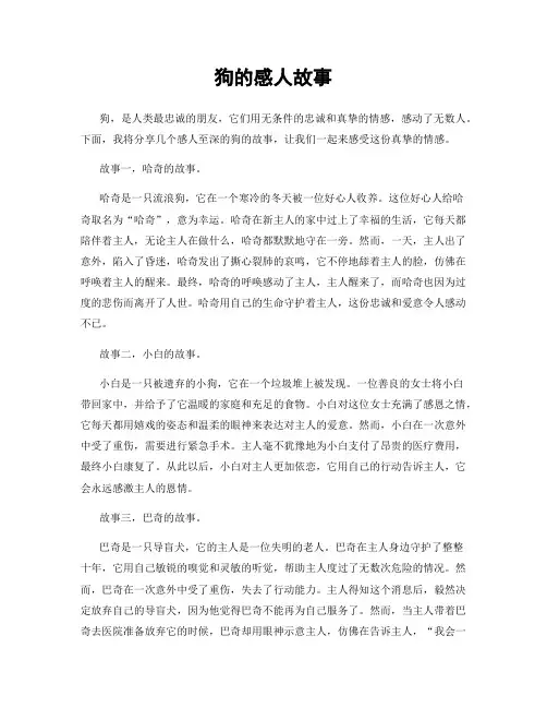 狗的感人故事
