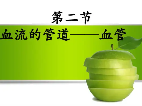 人体物质运输之血管