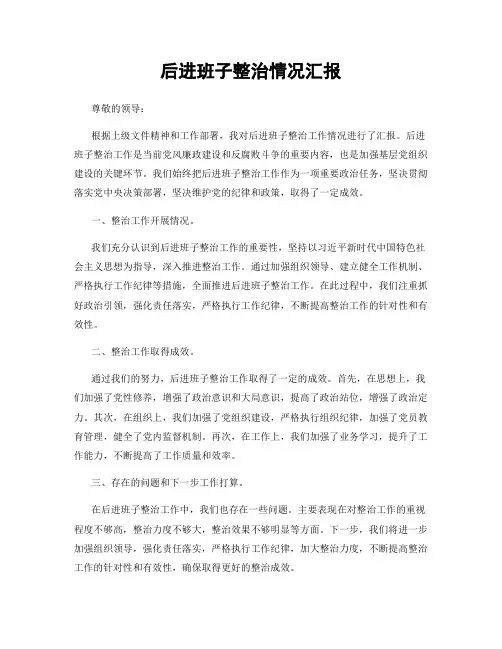 后进班子整治情况汇报