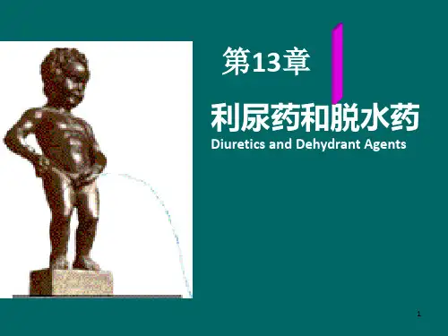 利尿药及脱水药2ppt课件