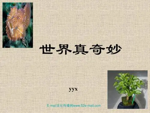 世界真奇妙--新发现的奇特物种