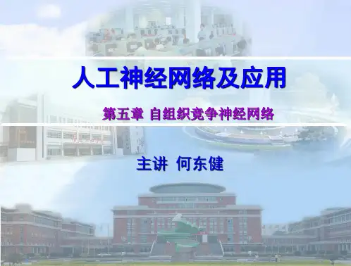 第5章自组织竞争网络