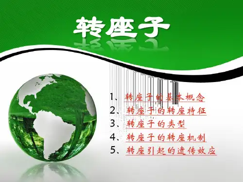 转座子类型资料