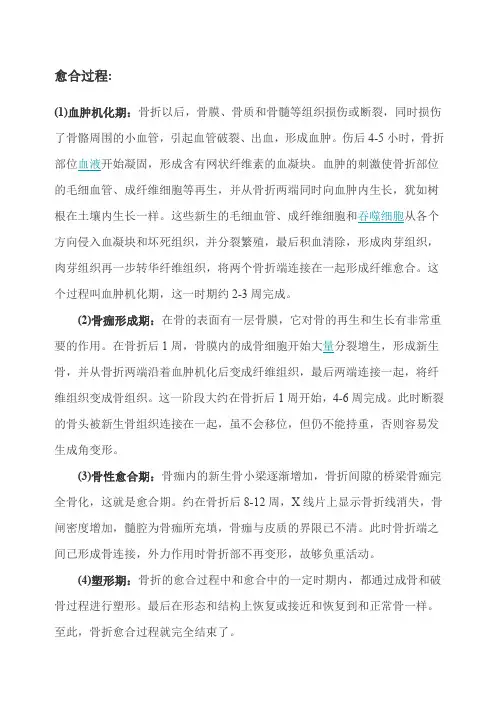 骨折愈合过程及标准